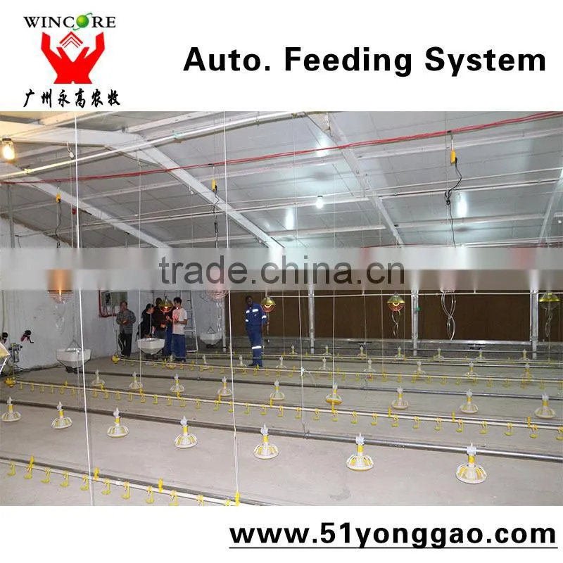 Automatic Poultry House Animal feeding line for broiler chicken Poultry equipment in Animal feeding system