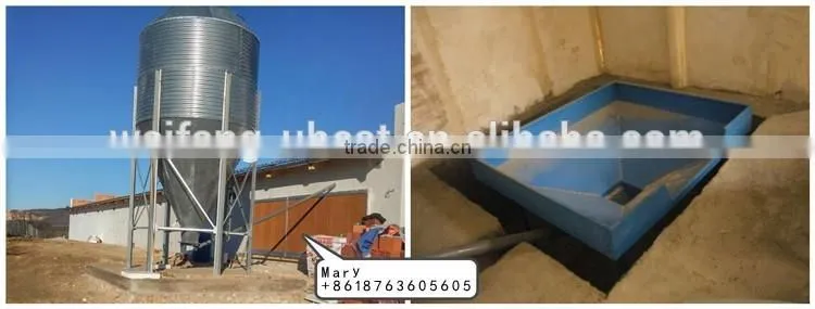U-BEST full automatic poultry equipment for breeder chicken