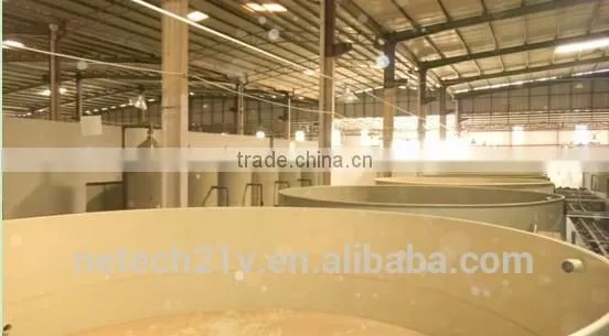 10T to 100T protein skimmer / aquarium protein skimmer / commercial protein skimmer