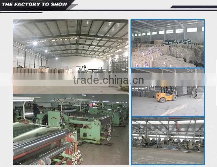 Anping Factory Made pure titanium weave mesh