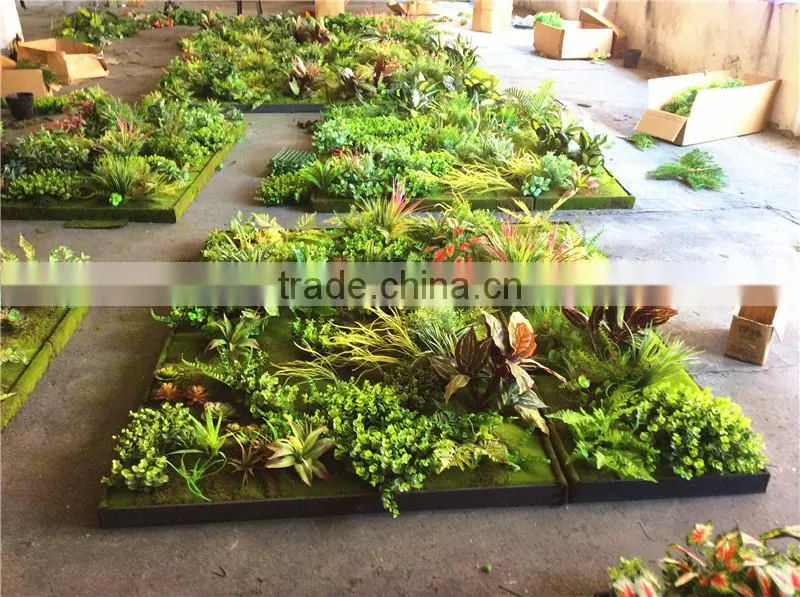 Home garden wedding decoration 200cm*100cm green original succulent with moss carpet grass wall E03 0506