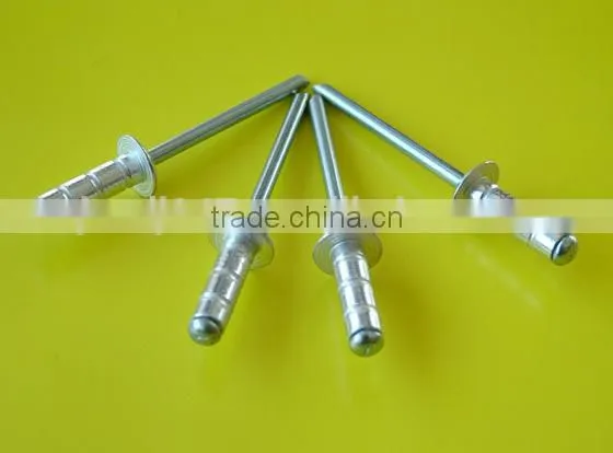 Rivets nails, aluminium alloy rivets nails from manufacturer