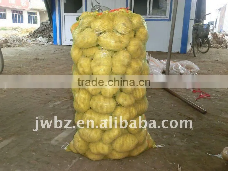Vegetables packed in PP leno bags