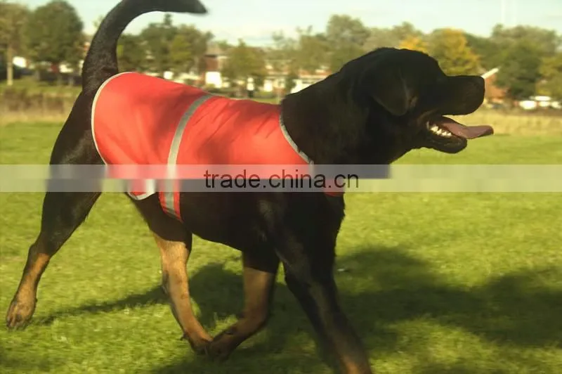 high visibility safety nice clothes service dog vest in stock