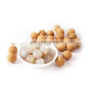 Factory lychee peeling and pit removing machine pitter lychee peeling peeler equipment longan peeling and pitting machine