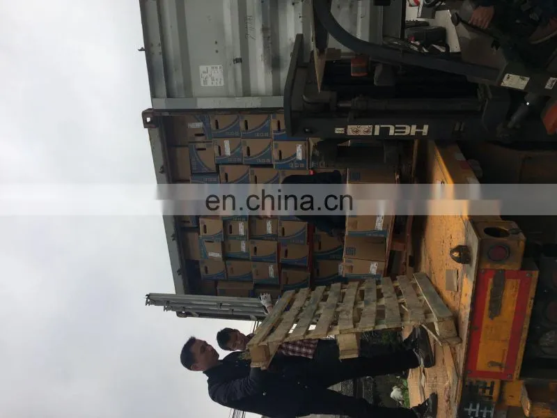 2018 New WEG Cast iron frame - exhaust air motor Brake explosion-proof EX d ELECTRIC 200kw 315 with best service and low price