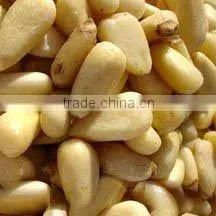 Pine nut kernel