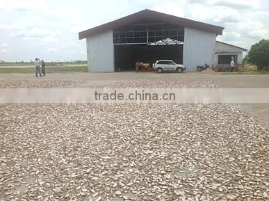 Tapioca chips Vietnam, dried cassava slice with best price and quailty commitment