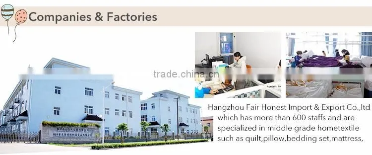 Promotion Gift bulk wholesale fleece blanket