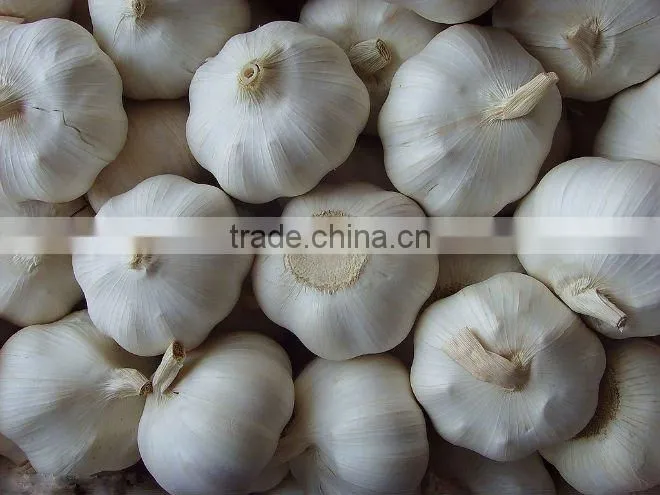 Chinese White Frozen Garlic