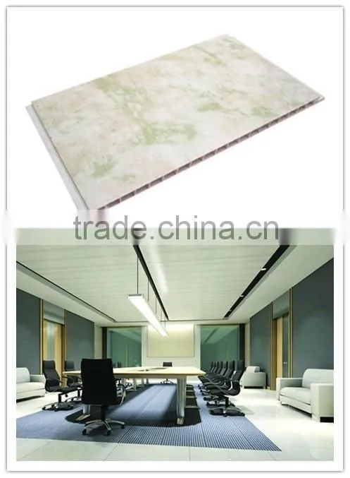 Delicate PVC Ceiling Panel Mold