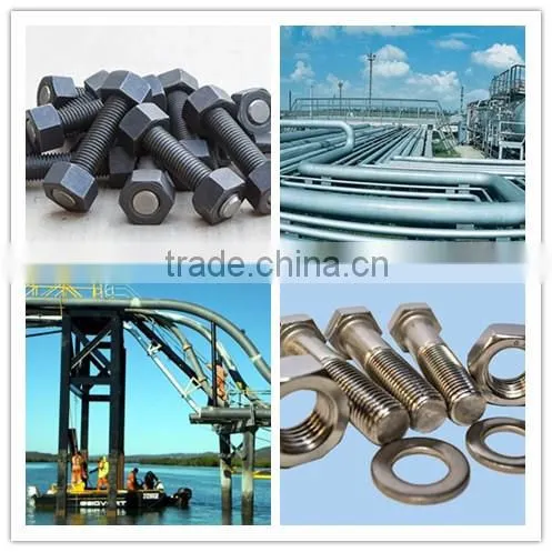 Hebei Saite Fasteners, Anchor Factory manufacture Price , Wedge anchor, Drop in anchor, Sleeve anchor, Eye&Hook anchor. M10x70