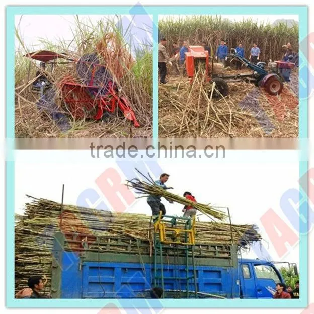 SL5 small size sugarcane loader for sale/ sugarcane loading machine from TAGRM