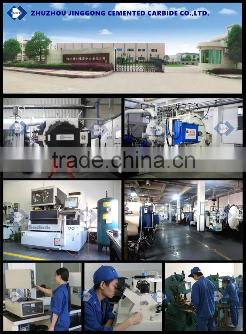 The Terminal manufatuer supply YG8 tungsten carbide ball