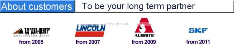 2418455727 diesel plunger element