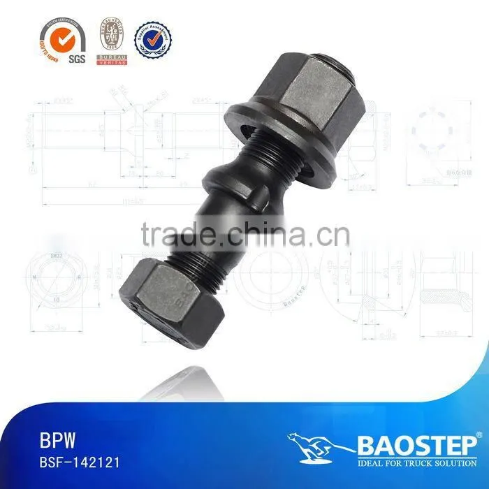 Baostep Excellent Quality Cold Forged Forged T Bolt