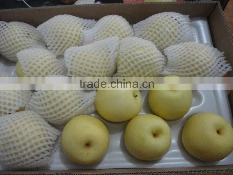 Nice difference specification of crown pear in china