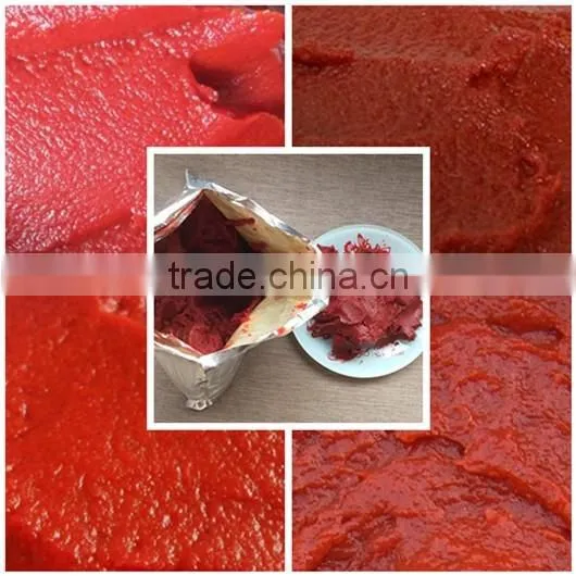 tomato paste less than 4.5KG Canned fruit and vegetable