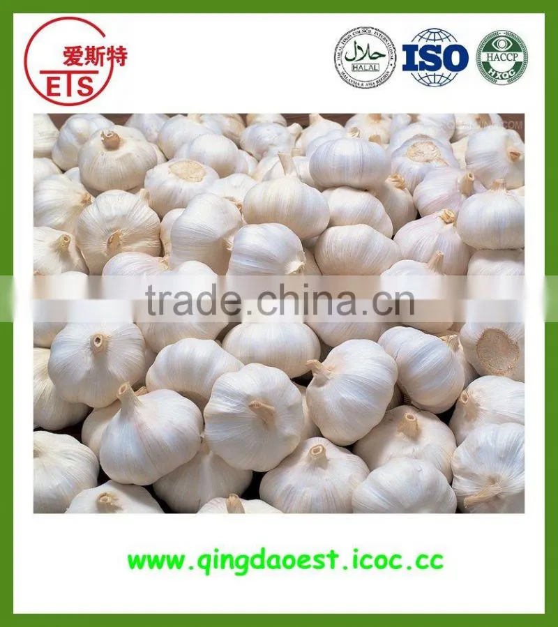 2016 high quality fresh white garlic from china