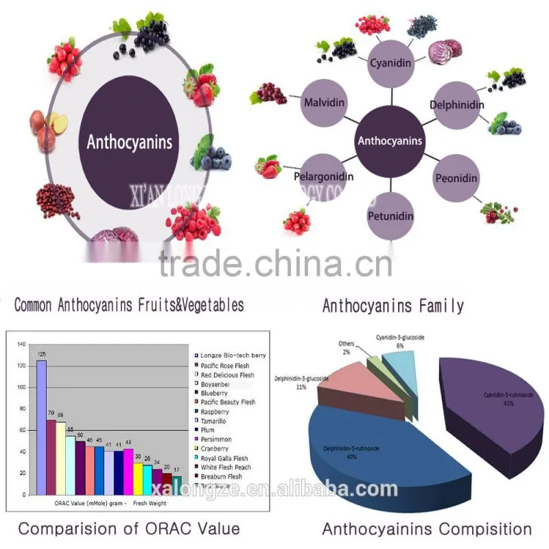 Rich in flavonoids, anthocyanins High-quality Healthcare Supplement Natural and Organic Aronia Chokeberry Extract Powder