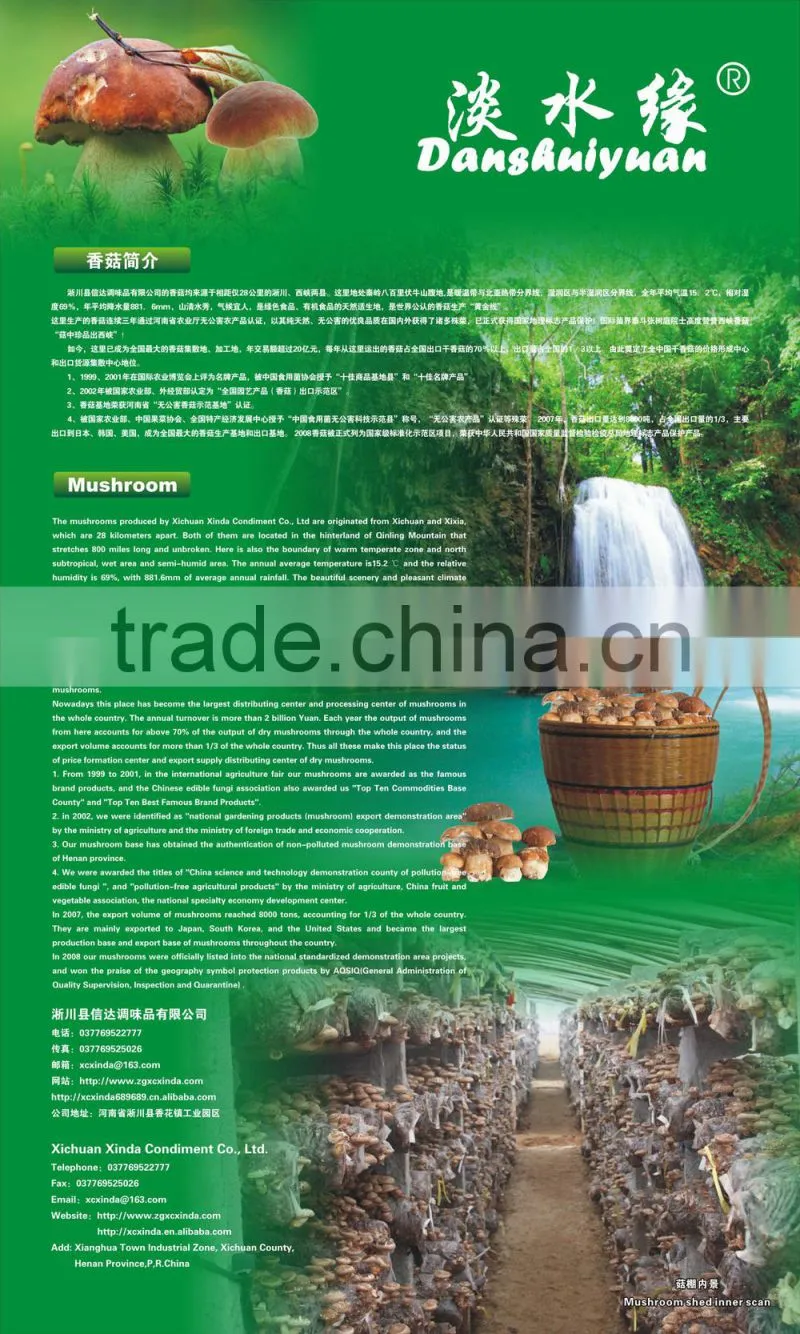 2015 Chines new crop shiitake mushroom ,Top nutrition White flower mushroom