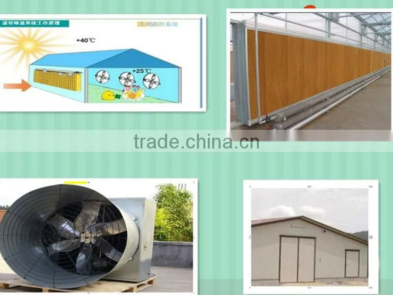 layer quail cage for sale & layer quail cage for poultry farm equipment