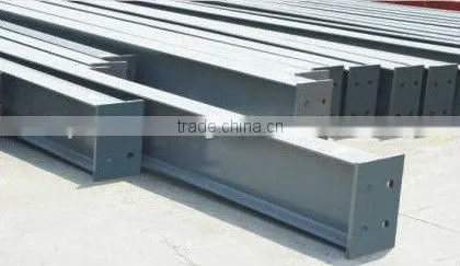 chicken poultry shed