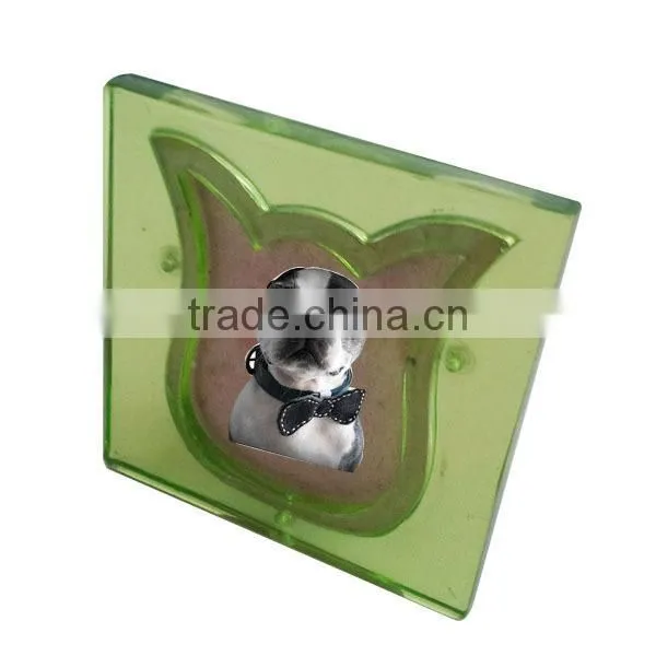 F142 mini tulip design resin funny photo frames for pet