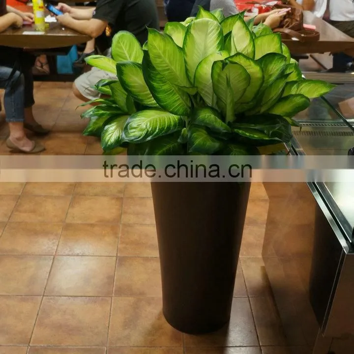 Modern fiberglass planter flowerpot