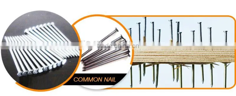 Common round wire nail, polish common nail making machine(factory)