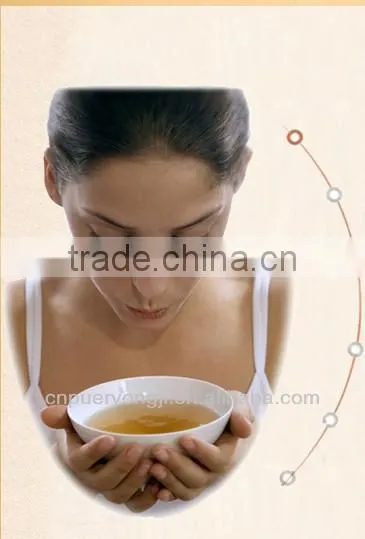 Factory Supply Dietary Supplyment 100% Natural panax Notoginseng P.E. / Wild Radix Notoginseng Extract