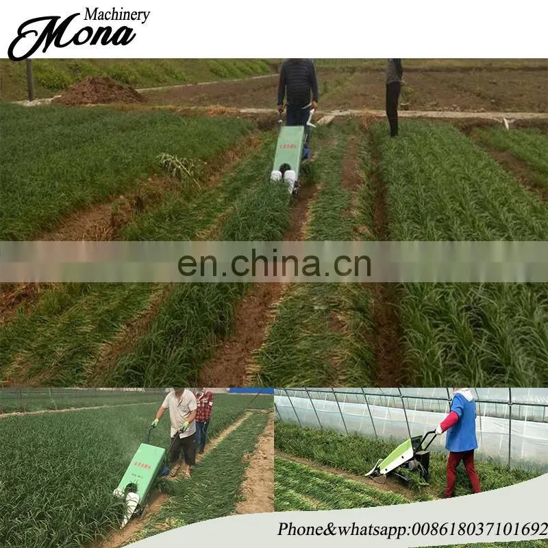 price for Green Onion Parsley Leeks chinese chives Harvester