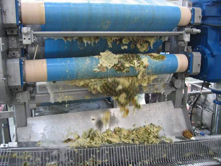 Pineapple Juice Making Plant Production Line