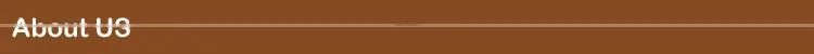 Hot 5V 1A USB Power Adapter 5v 2.1a USB Adapter For IPhone 4/45/5/6 Tablet