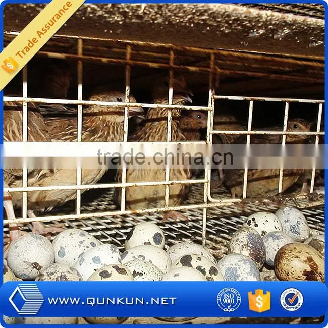 2016 new promotions trade assurance breeding quail cages for feeding system