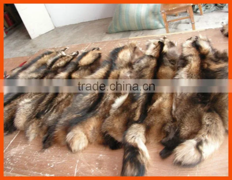 tanned raccoon fur skin