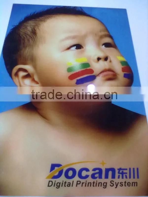 Docan popular M10 wood sheet printer