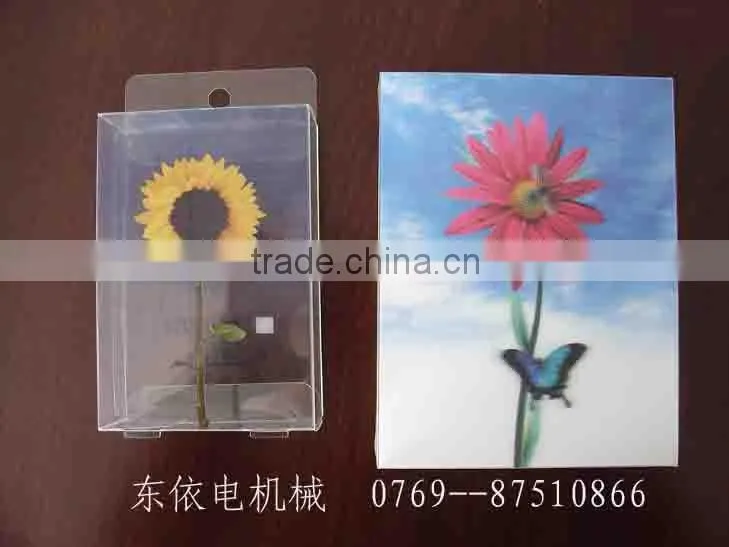 blister folder gluer