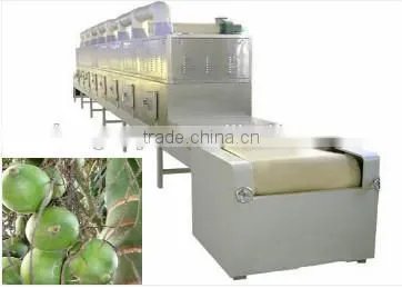 High capacity industrial tunnel microwave drying for green leaves