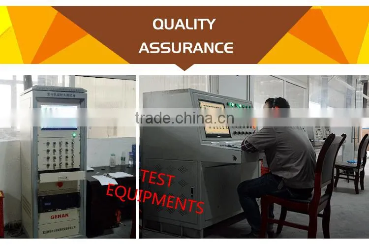 Small 13Hp Petrol/Gasoline Engine With Professional Assembly Line
