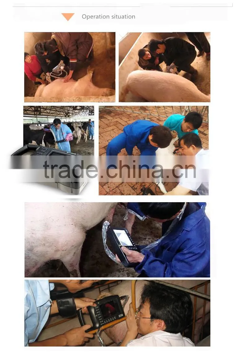 Veterinary ipad ultrasound scanner portable black and white visual pregancy test instrument