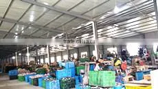 Danyang Kaien Auto Lamps Co., Ltd. company overview - view 2