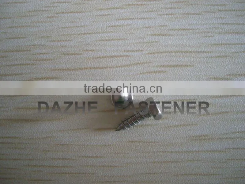 hex head PH tapping screw stainless steel
