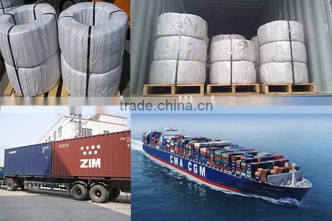 Trustworthy China supplier Galvanized Wire