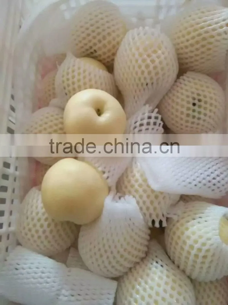 new crop China fresh golden pear for sale