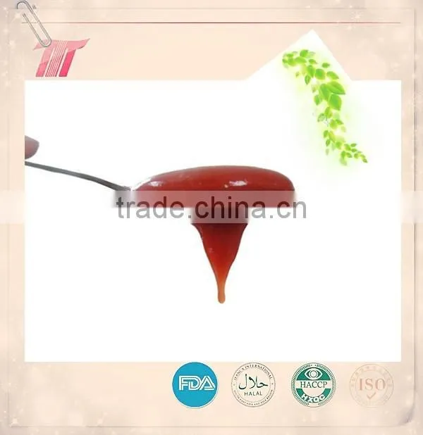 Good Taste Tomato Ketchup Concentrated in Plastic Bottle