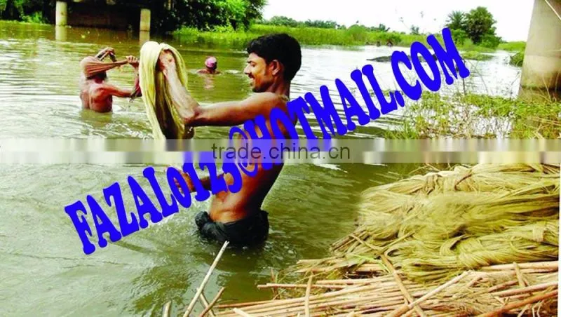 Raw Jute