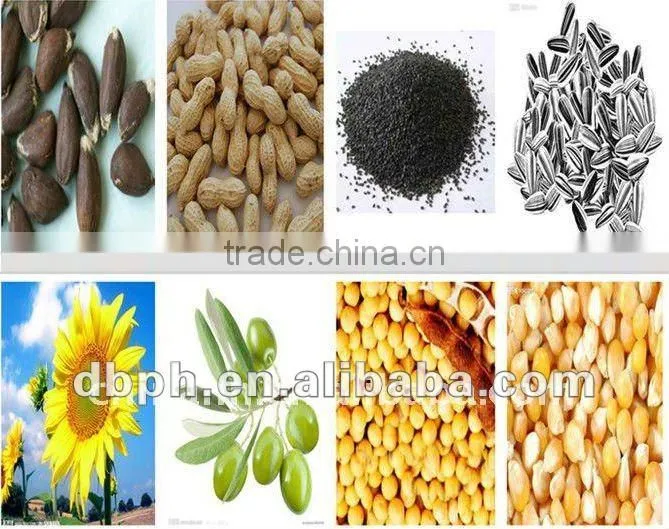 Oil Press/Sunflower/Cotton/Vegetable/ Coconut/Palm/Peanut Oil press