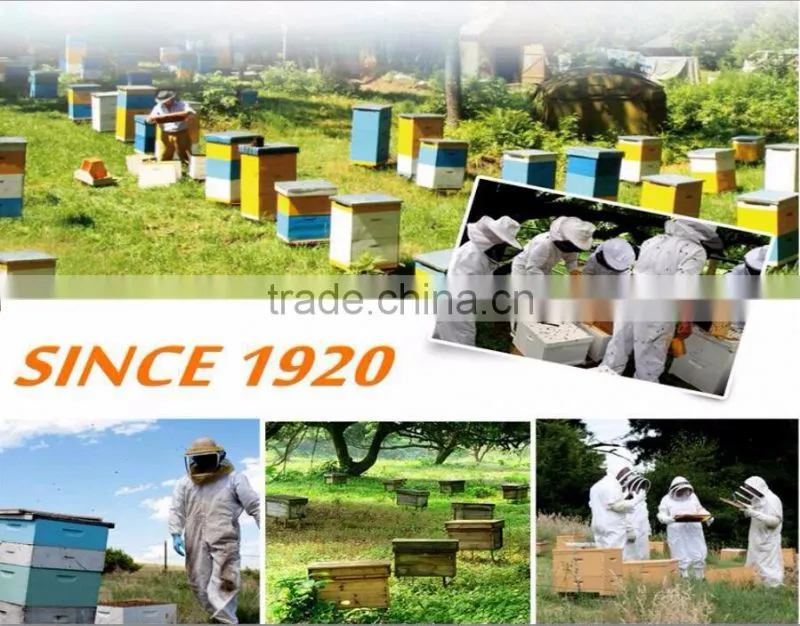 2017 Cotton Fancing Veil bee suits Honey protection Jumpsuit clothingsHigh Quality Ultra Breeze Ventilated Beekeeping Suits