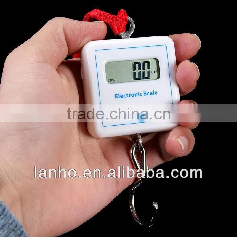 25KG Pocket Portable Digital Electronic Weigh Scale